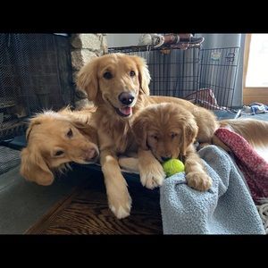 Meet your Posher, Ellie